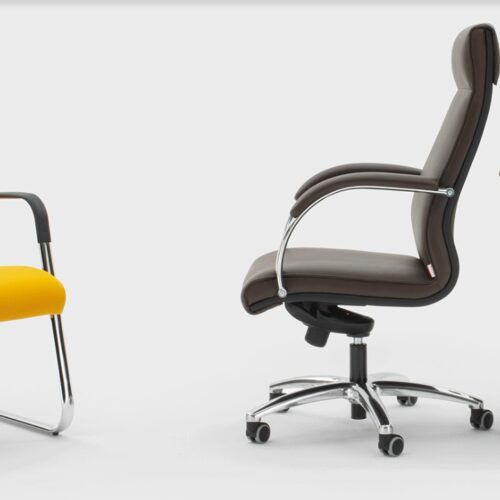 Immagine 2023-05-31 094413